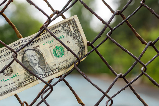 una banconota da un dollaro incastrata in una gabbia di ferro tra le celle. finanze in cattività - Foto, immagini