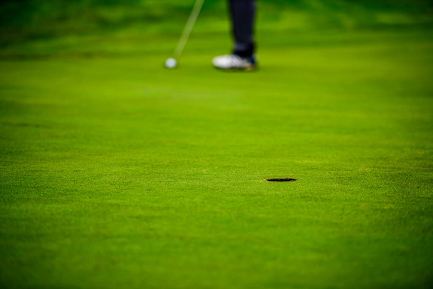 Primo piano di un giocatore di golf che con un putt tasca la palla sul verde - Foto, immagini