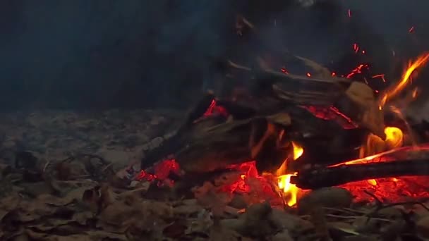 Éjszakai tábortűz a hegyi folyónál - Felvétel, videó