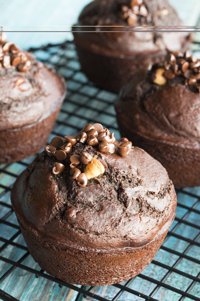Chocolate Muffin - Photo, Image