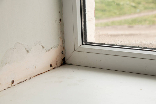 kovovo-plastové okno v bytě poškozeném plísní a vlhkostí zblízka - Fotografie, Obrázek
