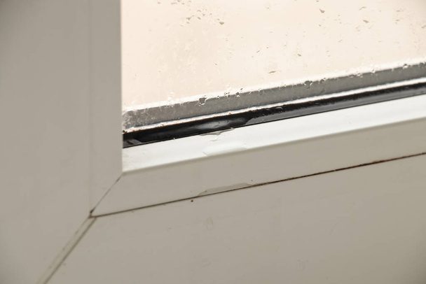 Küf ve nem yüzünden hasar görmüş bir dairedeki metal-plastik pencere. - Fotoğraf, Görsel