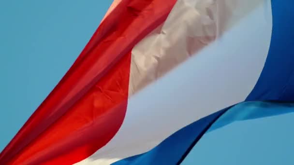 Flag of France waving - Video