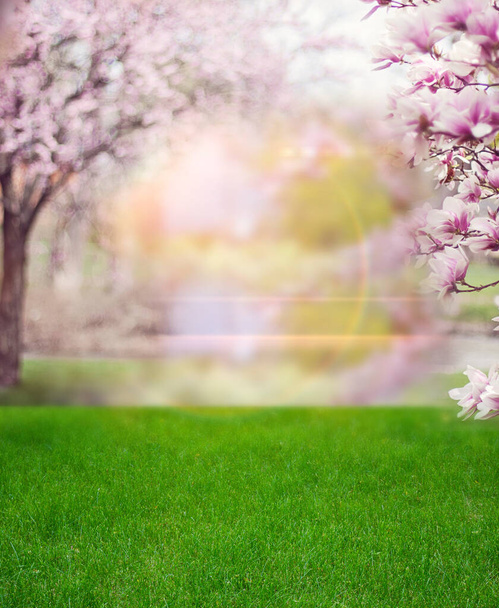 Baharın çiçek açan bahçesinde güneşli bir gün. Güneş ışınları yeşil çimenleri ve ağaçları aydınlatır.. - Fotoğraf, Görsel