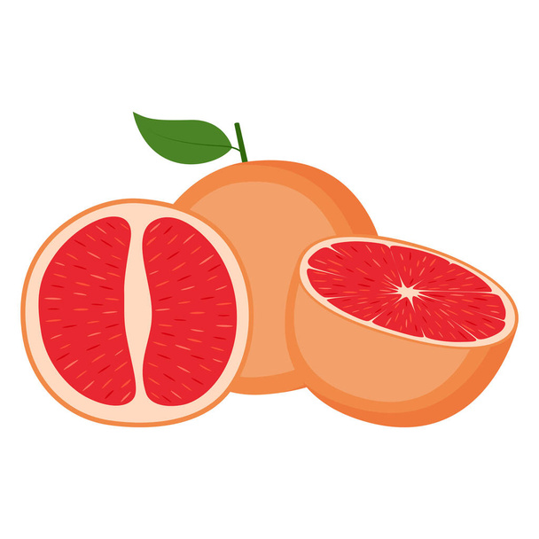 Grapefruit, ganze Frucht und Hälfte, auf weißem Hintergrund, Vektorillustration - Vektor, Bild