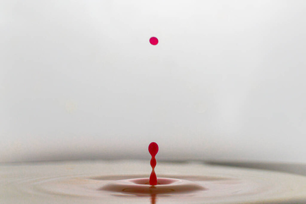 Ein einzellner roter Wassertrofenはミルチで落ちた。デル・トロッフェン・スプリング・ズルーク・ナッハ・オン・und ergibt eine Figur.ディミルのSpiegelungen - 写真・画像