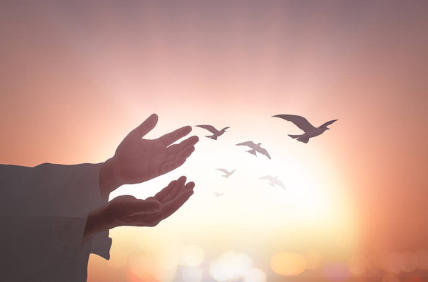 Día internacional para el recuerdo de la trata de esclavos y su concepto de abolición: Silhouette islam abre dos manos vacías con la palma hacia arriba y las aves volando sobre el fondo de luz espiritual - Foto, imagen