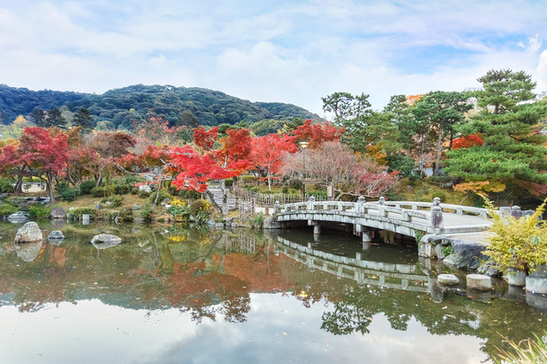 Maruyama koen (Kyotu) na podzim, v Kjótu - Fotografie, Obrázek