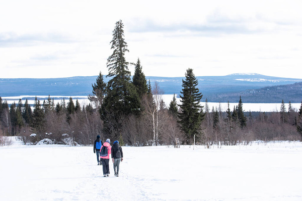 Grupo de amigos Caminhando pela floresta de inverno. Um grupo de caminhadas em uma floresta nevada. - Foto, Imagem