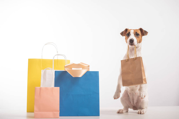 Dog Jack Russell Terrier stands in a serve pose next to paper bags and holds a craft bag in its mouth on a white background. Sale season - Фото, изображение