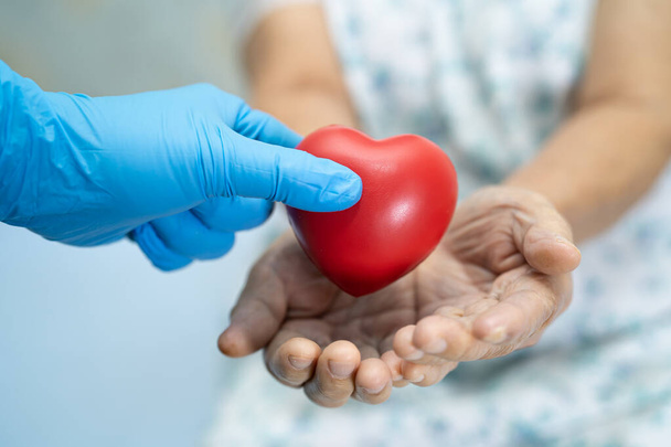 Doctor give red heart to Asian senior or elderly old lady woman patient, healthy strong medical concept - Photo, Image