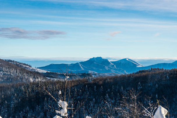 Velky Rozsutec and Stoh hill in Mala Fatra mountains from hiking trail bellow Velka Raca hill summit in winter Kysucke Beskydy mountains on slovakian-polish borders - Fotó, kép