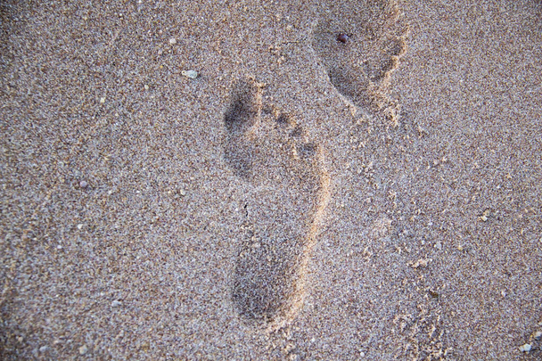 A footprint on the sand at the beach. - Φωτογραφία, εικόνα