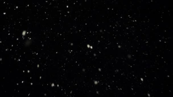 Copos de nieve cayendo. Nieve aislada cayendo sobre fondo negro - Imágenes, Vídeo