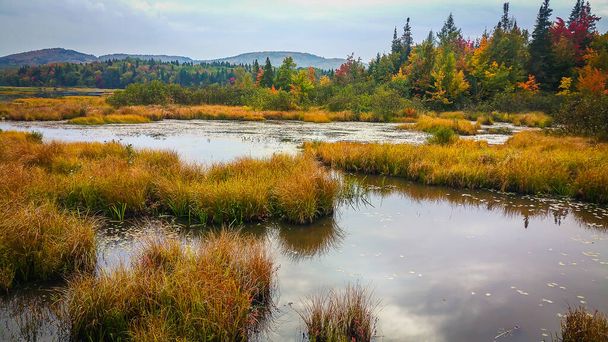 Vue de la rive du lac Delage entourée d'une végétation luxuriante, province de Québec, Canada - Photo, image