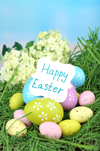 húsvéti összetétele, a tojás, a zöld fű, kék alapon - Fotó, kép