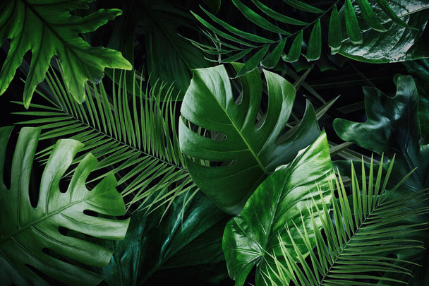 Many bright green tropical leaves as background - Fotografie, Obrázek