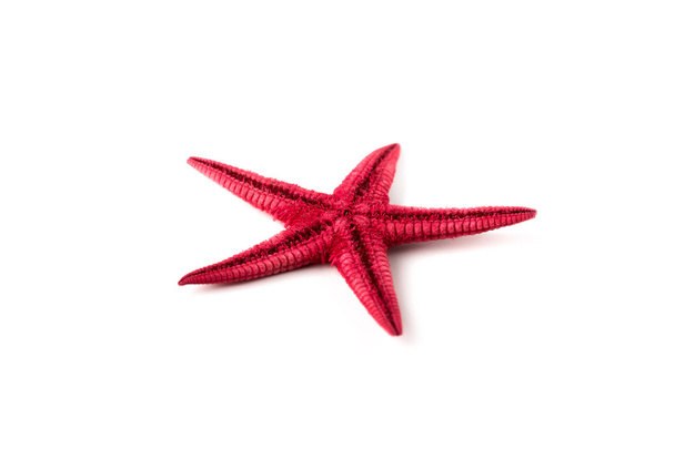 Estrella de mar roja
 - Foto, imagen