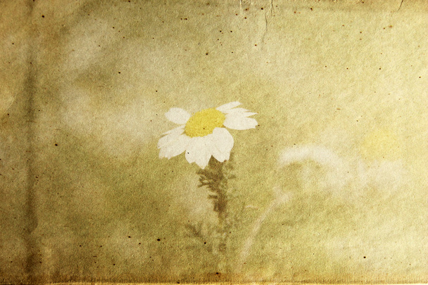 Carta strutturata con fiore
 - Foto, immagini