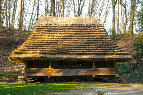 Vanha kylän talo metsässä
 - Valokuva, kuva