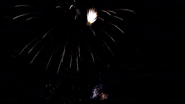 2021 noworoczne fajerwerki musujące na nocnym niebie, koncert uroczystości, święta. - Materiał filmowy, wideo