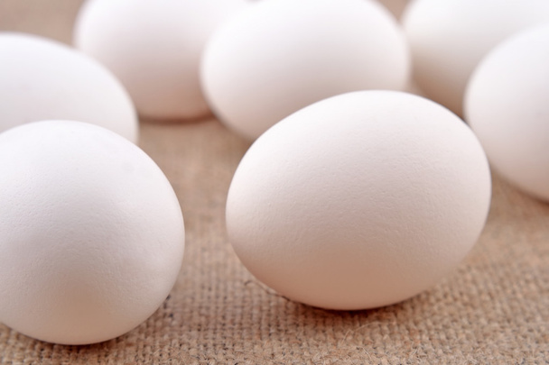 yumurta üzerinde bir ehlileştirmek - Fotoğraf, Görsel