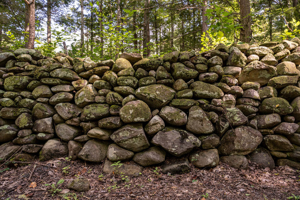 Licheń i mech na suchym kamiennym murze wzdłuż szlaku McKee Branch w Parku Narodowym Great Smoky Mountains - Zdjęcie, obraz