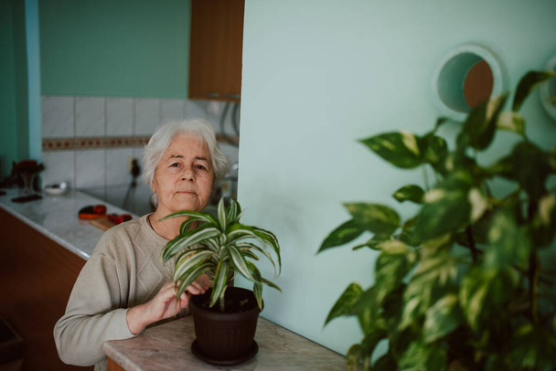 senior woman and plant in the kitchen - Фото, зображення