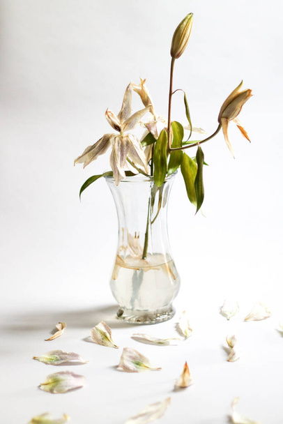 Romló virágok üvegvázában - Fotó, kép
