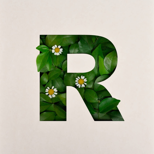 Font design, Abstract alphabet font with leaves and flower, realistic leaves typography - R - Foto, afbeelding