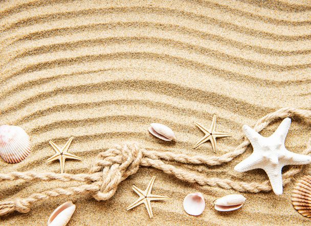 Seashells na písku. Moře letní dovolená pozadí s prostorem pro text. Horní pohled - Fotografie, Obrázek