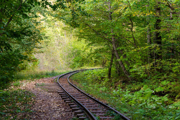 Εγκαταλελειμμένοι σιδηρόδρομοι το φθινόπωρο ορεινό δάσος με φυλλώδη δέντρα στον Καύκασο, Mezmay. - Φωτογραφία, εικόνα