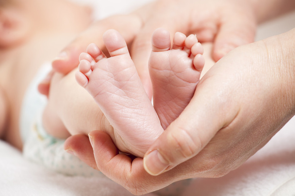baby feet in mother's hands - Photo, image