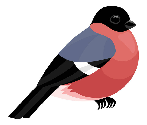 Illustration with cute bullfinch icon isolated on white background. - Vecteur, image