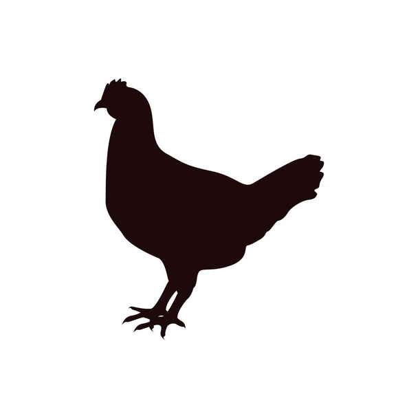 Chicken icon design template vector isolated illustration - Vector, Image