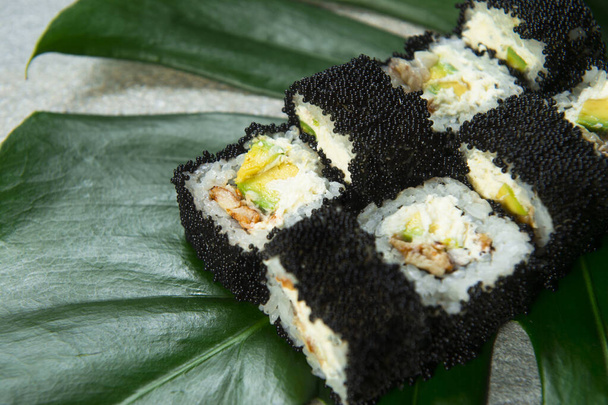Macro of Japanese sushi roll with unagi eel, cream cheese, avocado wrapped in black caviar (flying fish roe Tobiko) served on exotic monstera leaf on gray stone background. Minimal food art concept - Photo, Image