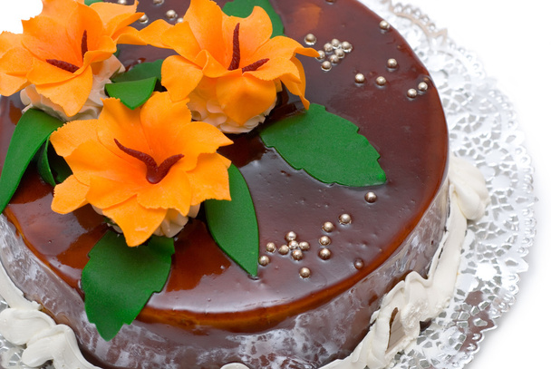 chocolate cake  - Photo, image