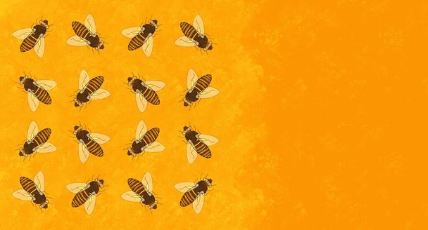 Ілюстрована етикетка для меду та меду. Візерунок від бджіл для бджолярів і т.д.
. - Фото, зображення