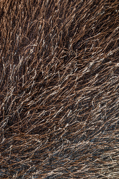 jouet brun texture de cheveux tissu fausse fourrure - Photo, image