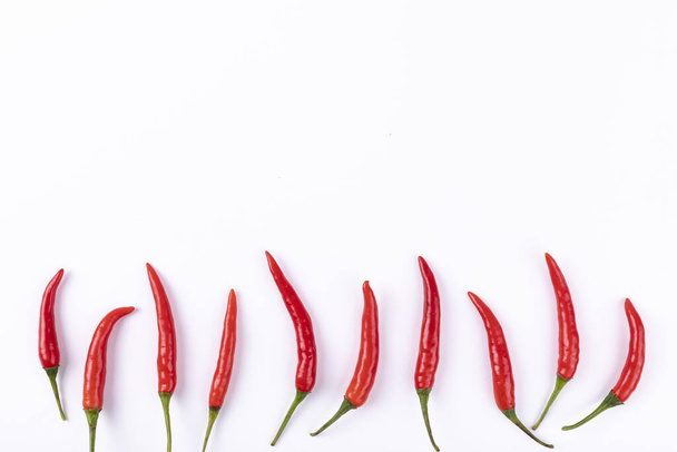 Fresh chili peppers isolated on a white background - 写真・画像