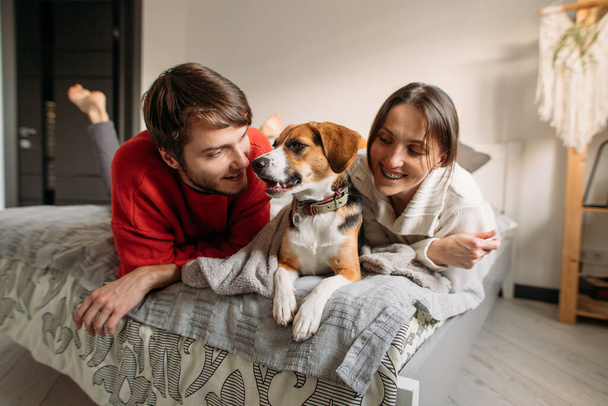 happy couple in love with a beagle dog sitting on the bed - Foto, immagini