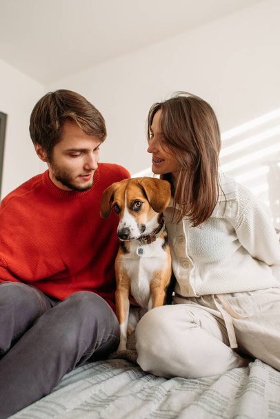 happy couple in love with a beagle dog sitting on the bed - Zdjęcie, obraz