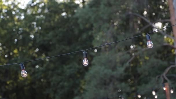 Guirlande d'ampoules dans la nature - Séquence, vidéo