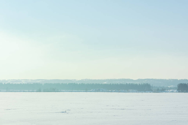 зимний пейзаж с полем, деревьями и голубым небом, длинная горизонтальная композиция. Легкий туман и туман над лесом. естественный атмосферный холодный фон. вид из окна автомобиля на заснеженные деревья - Фото, изображение