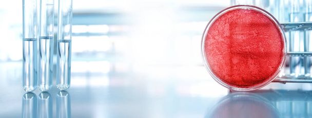 красная чашка Петри для микробиологических лабораторных исследований и стеклянная пробирка на фоне синего медицинского баннера - Фото, изображение