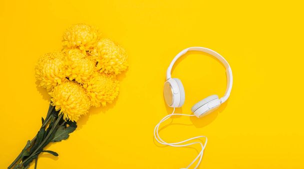 Grote witte hoofdtelefoon en weelderige chrysant bloem op gele achtergrond met ruimte voor tekst. Een zachte en romantische melodie. Hallo voorjaar. Bloemenwinkel. Muzikale accessoires winkel. Zomertijd levensstijl. - Foto, afbeelding