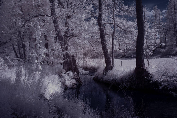 getinte opname van landschap met rivier, blauwe lucht en witte planten - Foto, afbeelding