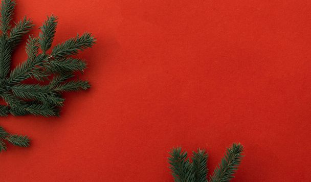 Close up view of fir tree branch, Christmas mood background  - Fotó, kép