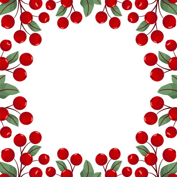 Vector background with cranberries; for greeting cards, invitations, posters, banners. - Vector, Imagen