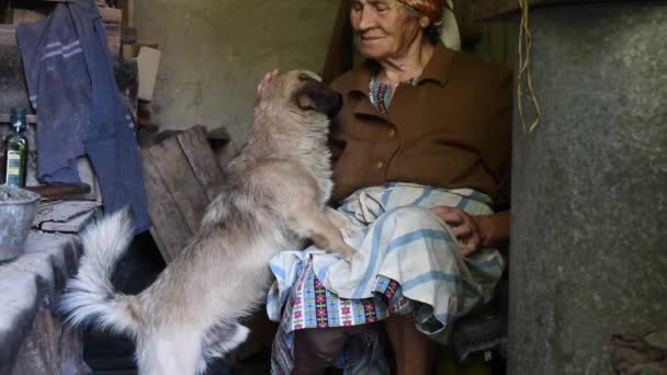 Εγχώρια ρουστίκ ζωή του σκύλου ηλικίας με την ηλικιωμένη γυναίκα στο σπίτι στην ύπαιθρο - Πλάνα, βίντεο
